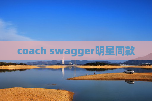 coach swagger明星同款